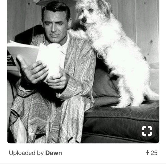 Meet your Posher, Julie - Picture 1 of 1